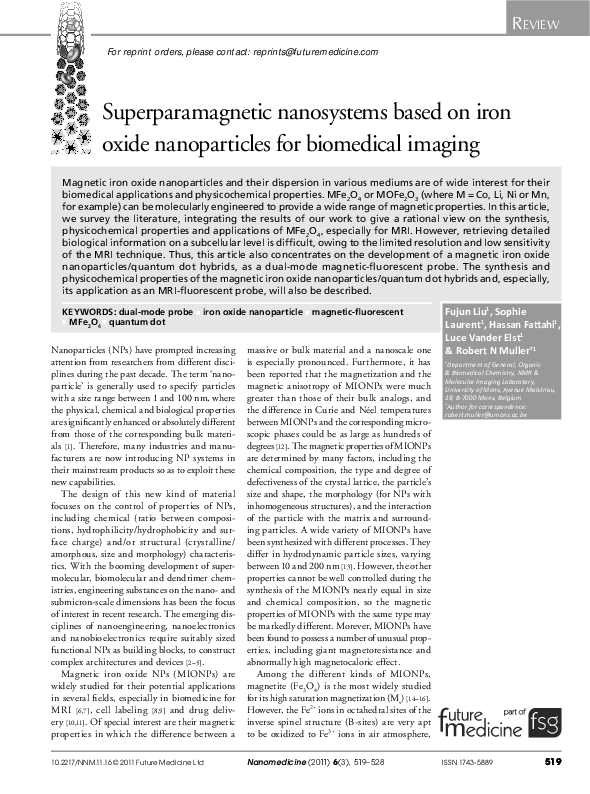 (PDF) Superparamagnetic nanosystems based on iron oxide nanoparticles ...