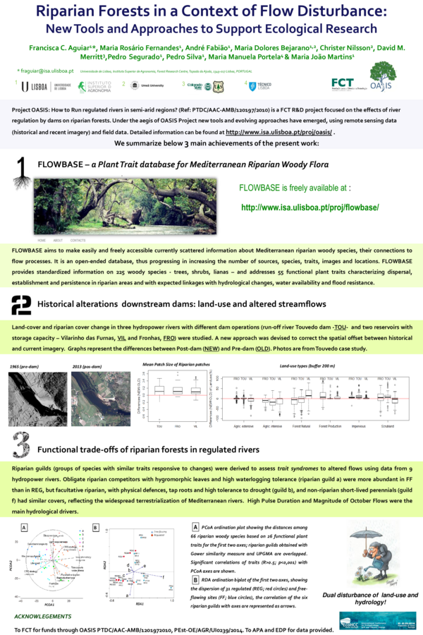 (PDF) Riparian Forests in a Context of Flow Disturbance: New Tools and ...