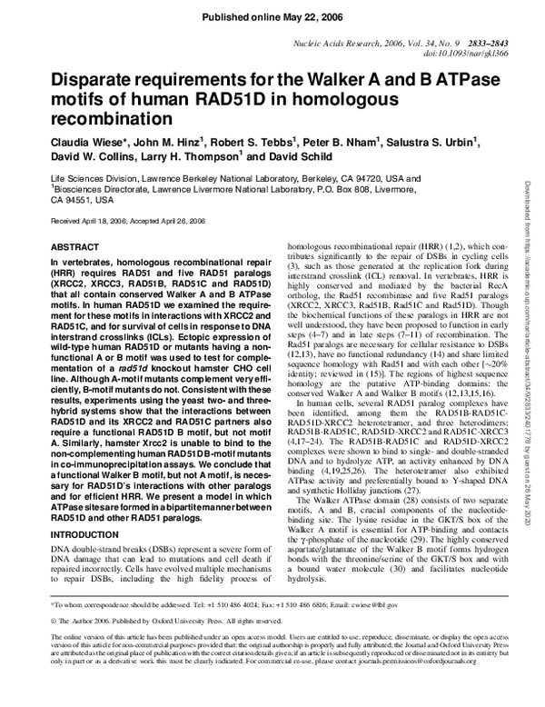 (PDF) Disparate requirements for the Walker A and B ATPase motifs of ...