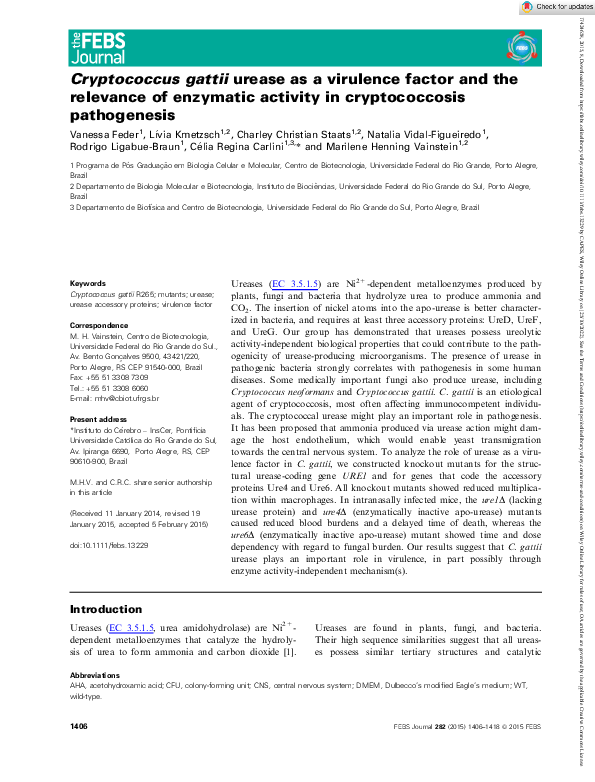 (PDF) Cryptococcus gattii urease as a virulence factor and relevance of ...