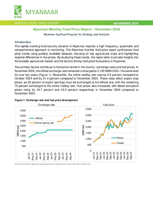 (PDF) Myanmar Monthly Food Price Report – November 2024