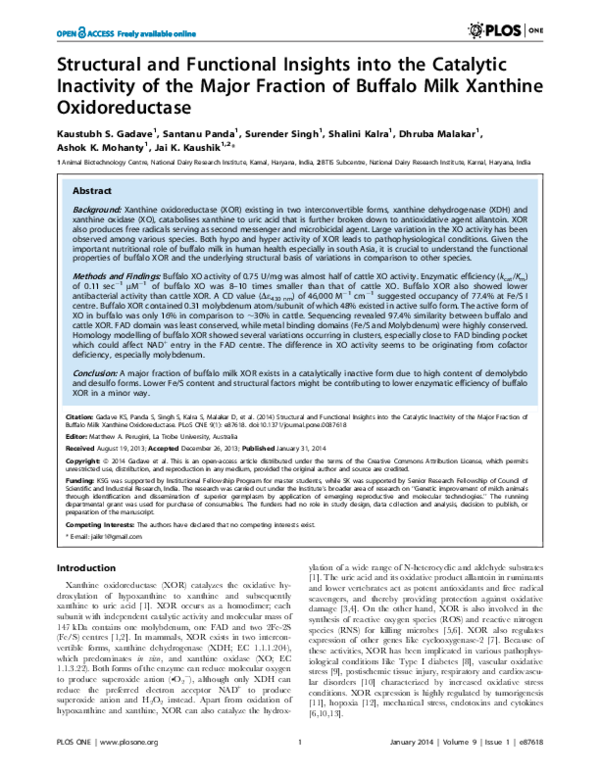 (PDF) Structural and Functional Insights into the Catalytic Inactivity ...