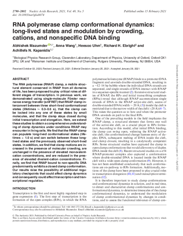 (PDF) RNA polymerase clamp conformational dynamics: long-lived states ...