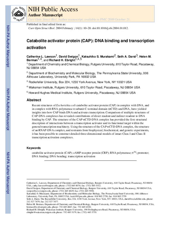 (PDF) Catabolite activator protein: DNA binding and transcription ...