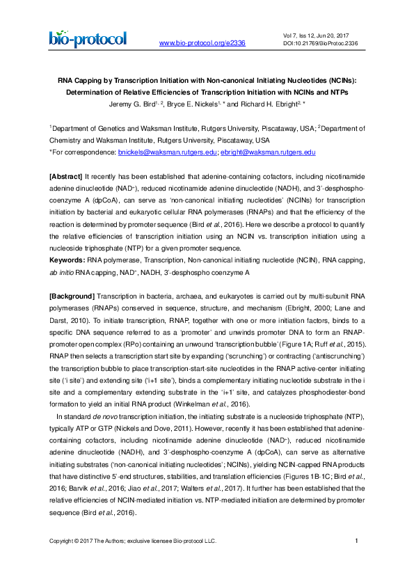 (PDF) RNA Capping by Transcription Initiation with Non-canonical ...