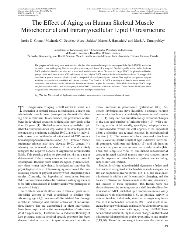 (PDF) The Effect of Aging on Human Skeletal Muscle Mitochondrial and ...