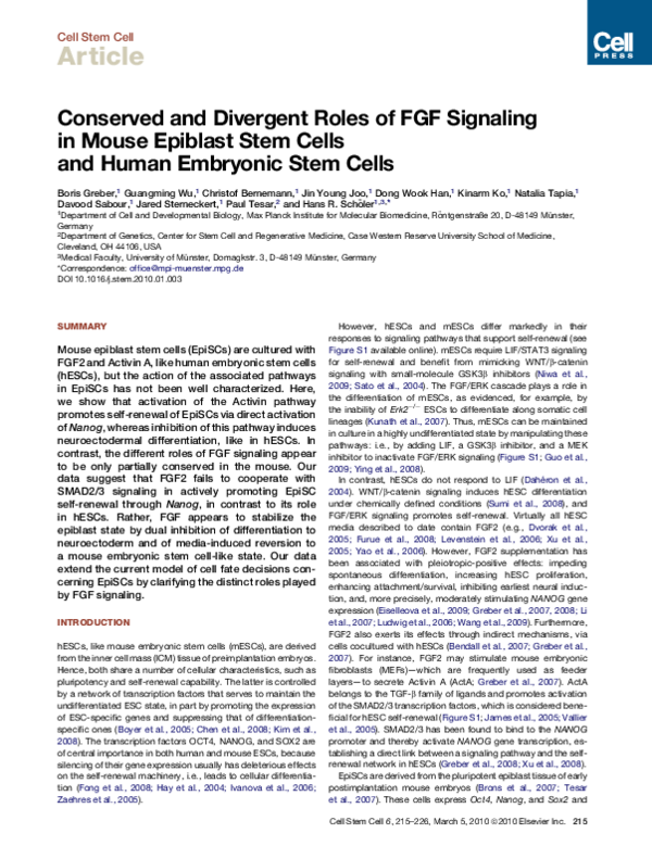 (PDF) Conserved and Divergent Roles of FGF Signaling in Mouse Epiblast ...