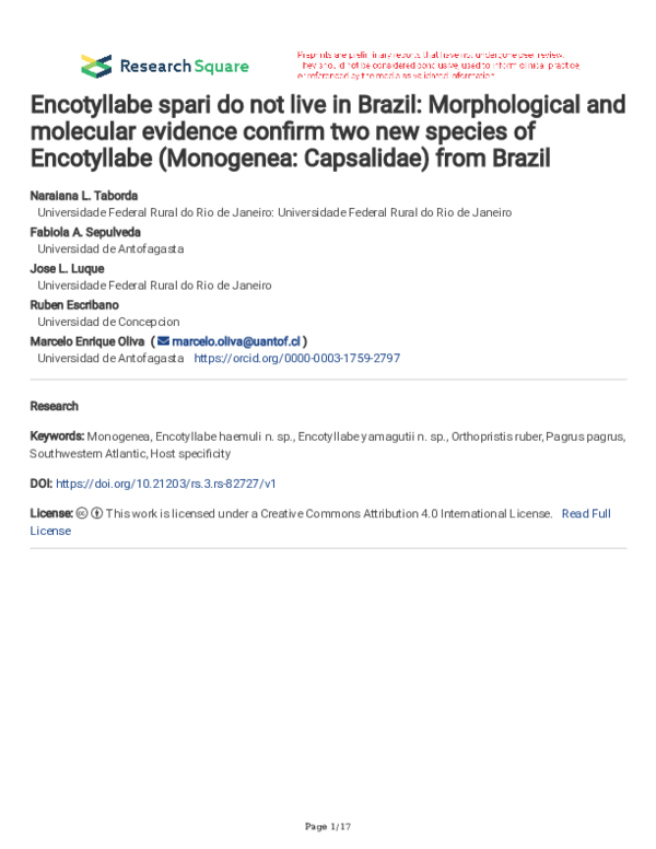 (PDF) Encotyllabe spari do not live in Brazil: Morphological and ...