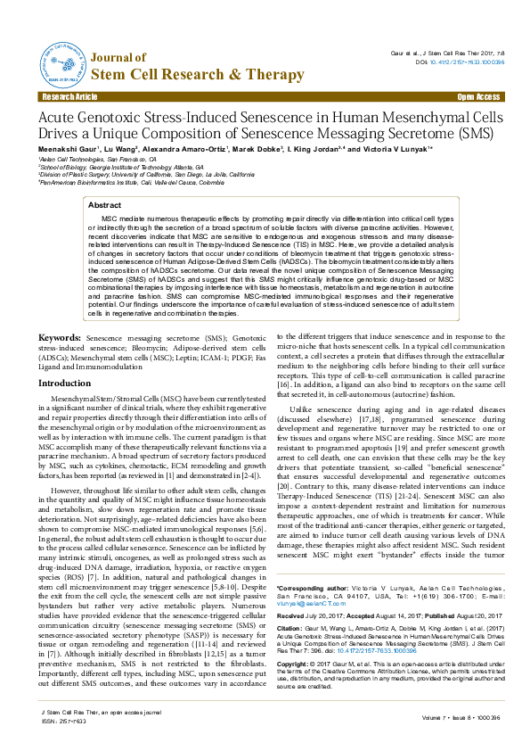 (PDF) Acute Genotoxic Stress-Induced Senescence in Human Mesenchymal ...