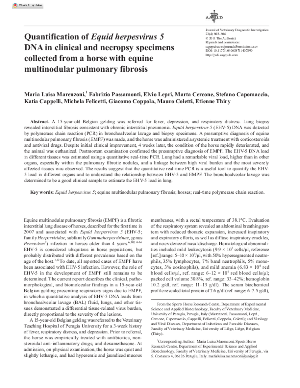 (PDF) Quantification of Equid herpesvirus 5 DNA in clinical and ...