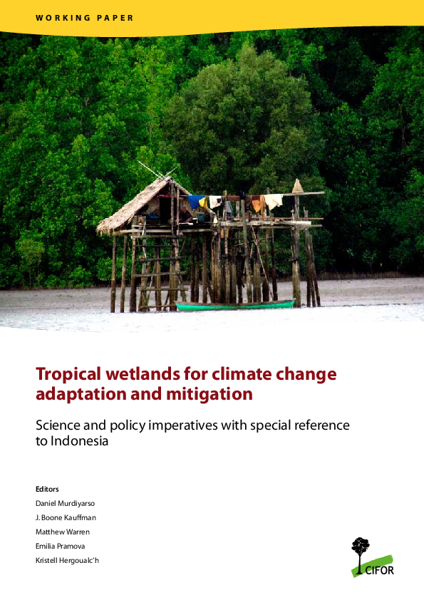 (PDF) Tropical wetlands for climate change adaptation and mitigation ...