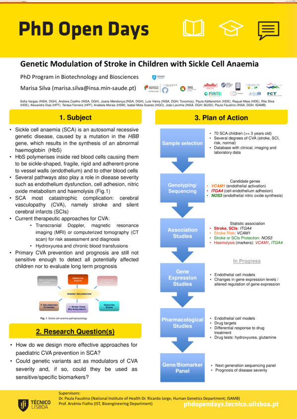 (PDF) Genetic modulation of stroke in children with sickle cell anaemia