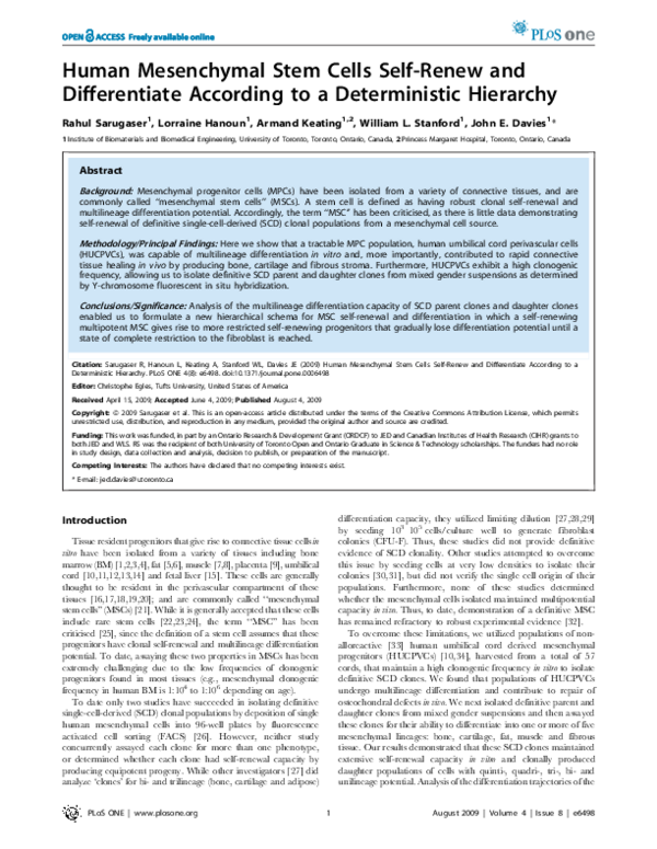 (PDF) Human Mesenchymal Stem Cells Self-Renew and Differentiate ...
