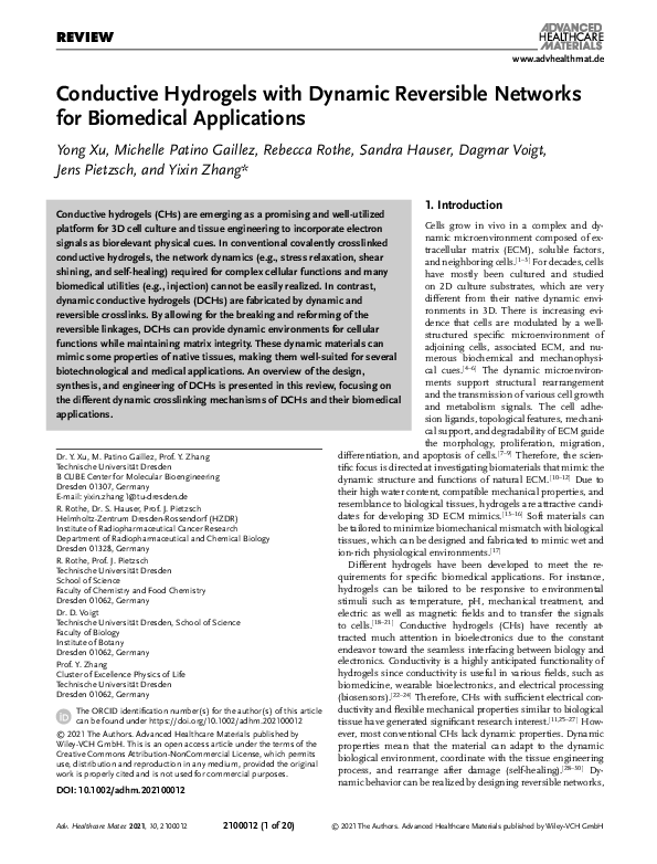 (PDF) Conductive Hydrogels with Dynamic Reversible Networks for ...