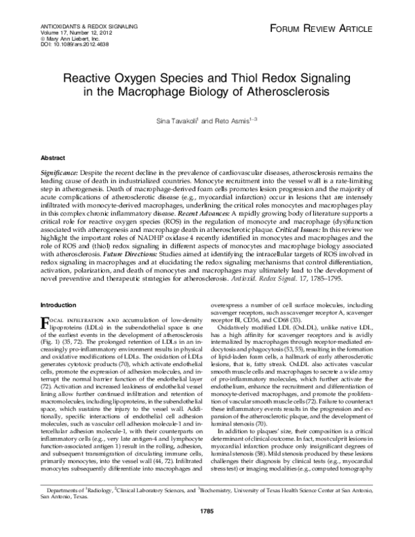 (PDF) Reactive Oxygen Species and Thiol Redox Signaling in the ...