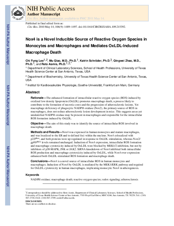 (PDF) Nox4 is a Novel Inducible Source of Reactive Oxygen Species in ...