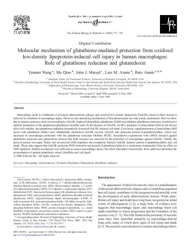 PDF) Molecular mechanism of glutathione-mediated protection from oxidized low-density lipoprotein-induced cell injury in human macrophages: Role of glutathione reductase and glutaredoxin