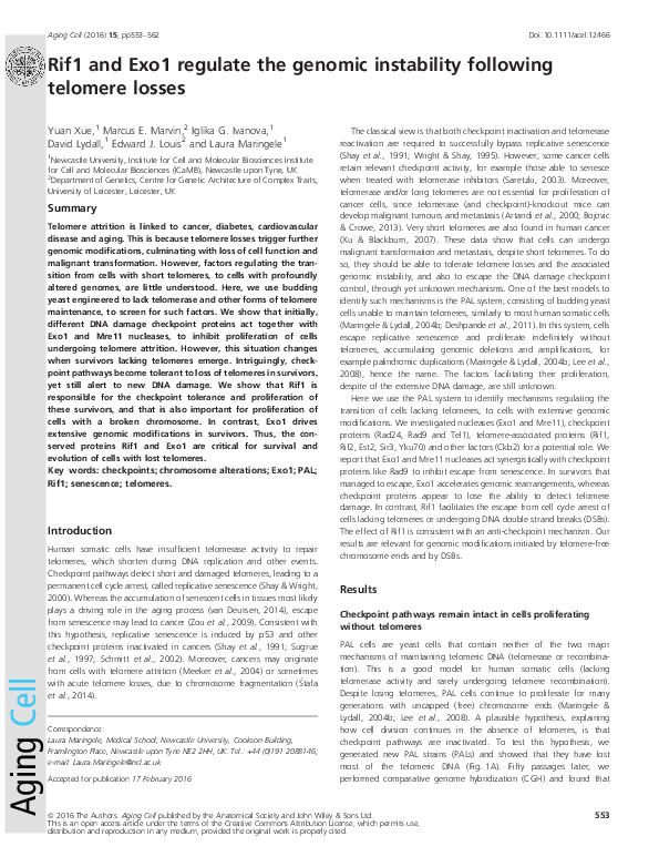 (PDF) Rif1 and Exo1 regulate the genomic instability following telomere ...