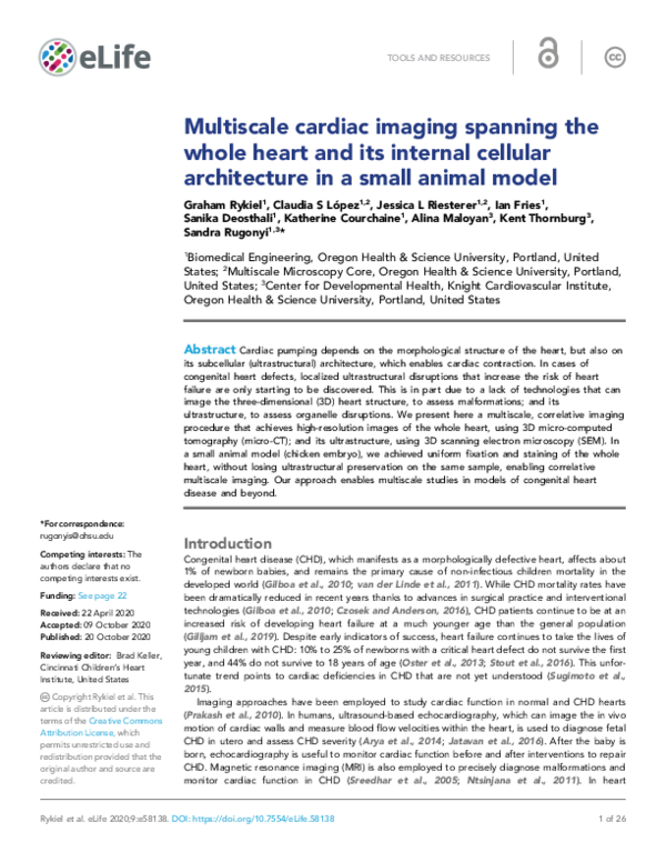 (PDF) Multiscale cardiac imaging spanning the whole heart and its ...