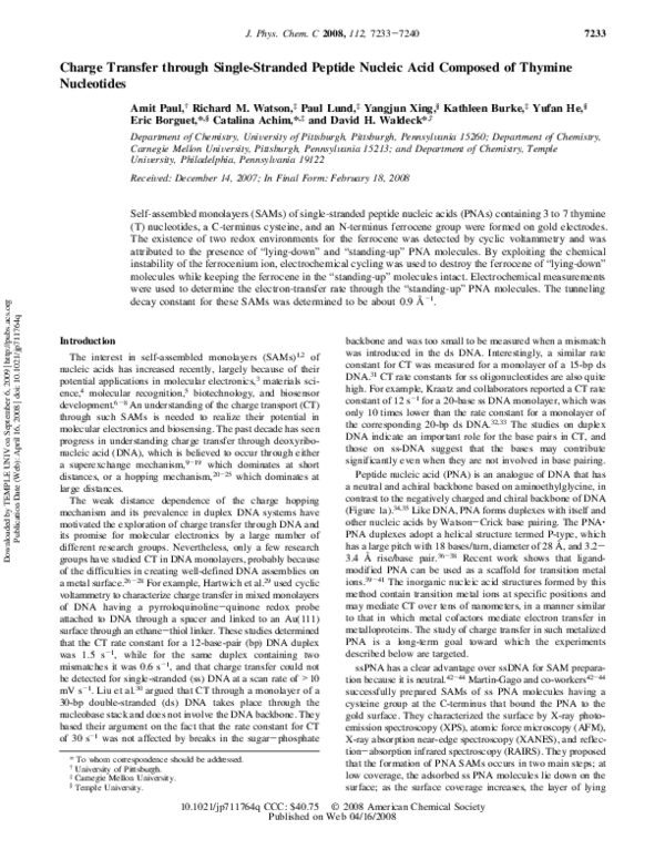 (PDF) Charge Transfer through Single-Stranded Peptide Nucleic Acid ...