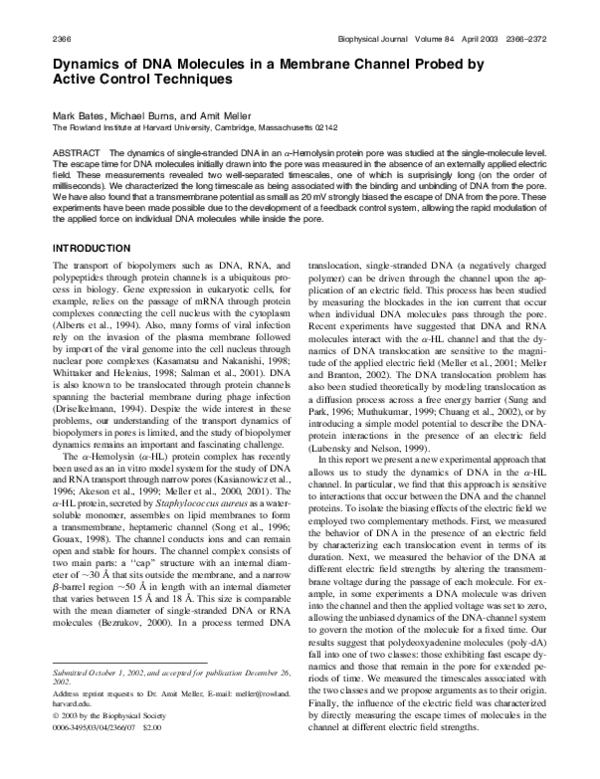 (PDF) Dynamics of DNA Molecules in a Membrane Channel Probed by Active ...