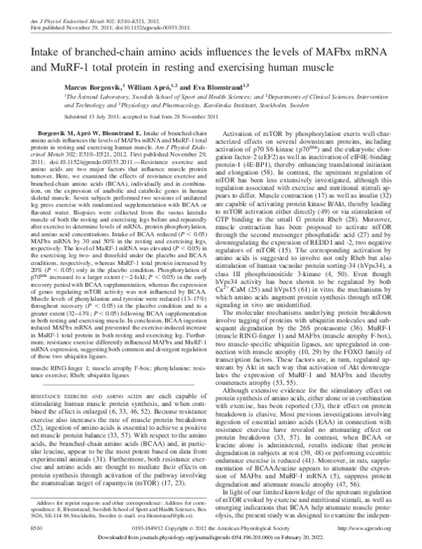 (PDF) Intake of branched-chain amino acids influences the levels of ...
