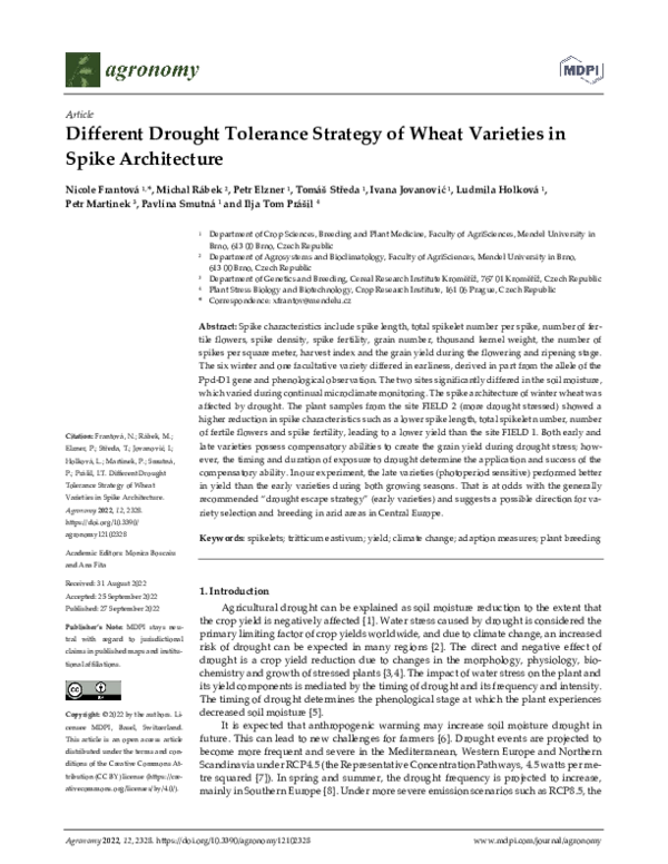 (PDF) Different Drought Tolerance Strategy of Wheat Varieties in Spike ...