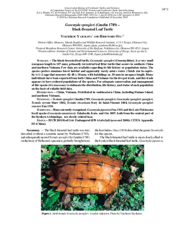 (PDF) Geoemyda spengleri (Gmelin 1789) – Black-Breasted Leaf Turtle