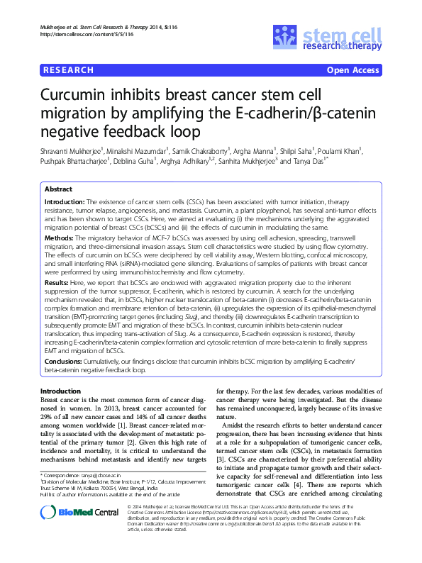 (PDF) Curcumin inhibits breast cancer stem cell migration by amplifying ...