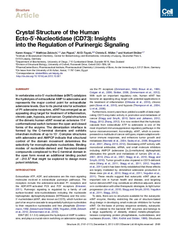 (PDF) Crystal Structure of the Human Ecto-5′-Nucleotidase (CD73 ...
