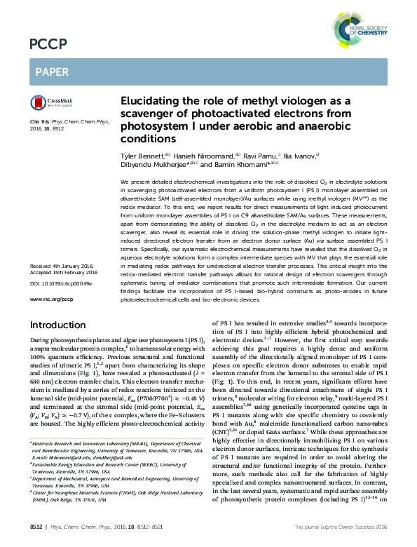 (PDF) Elucidating the role of methyl viologen as a scavenger of ...