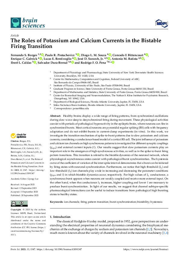 (PDF) The Roles of Potassium and Calcium Currents in the Bistable ...
