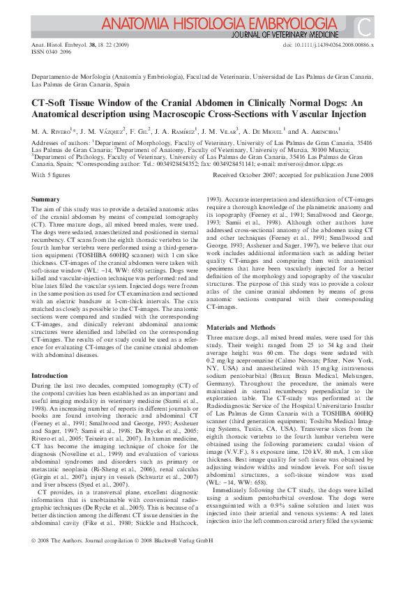 (PDF) CT‐Soft Tissue Window of the Cranial Abdomen in Clinically Normal ...