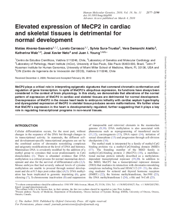 (PDF) Elevated expression of MeCP2 in cardiac and skeletal tissues is ...