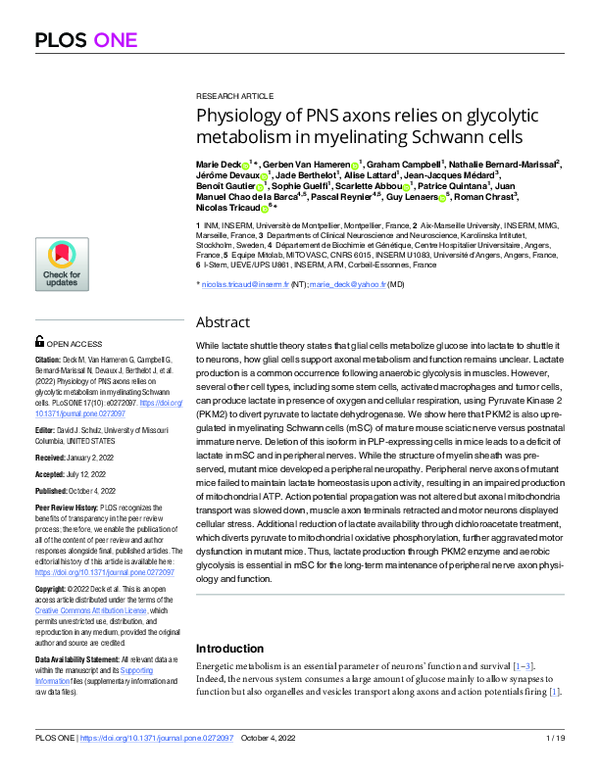 (PDF) Physiology of PNS axons relies on glycolytic metabolism in ...