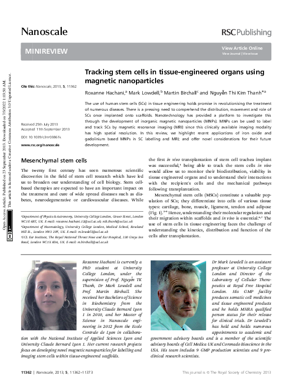 (PDF) Tracking stem cells in tissue-engineered organs using magnetic ...