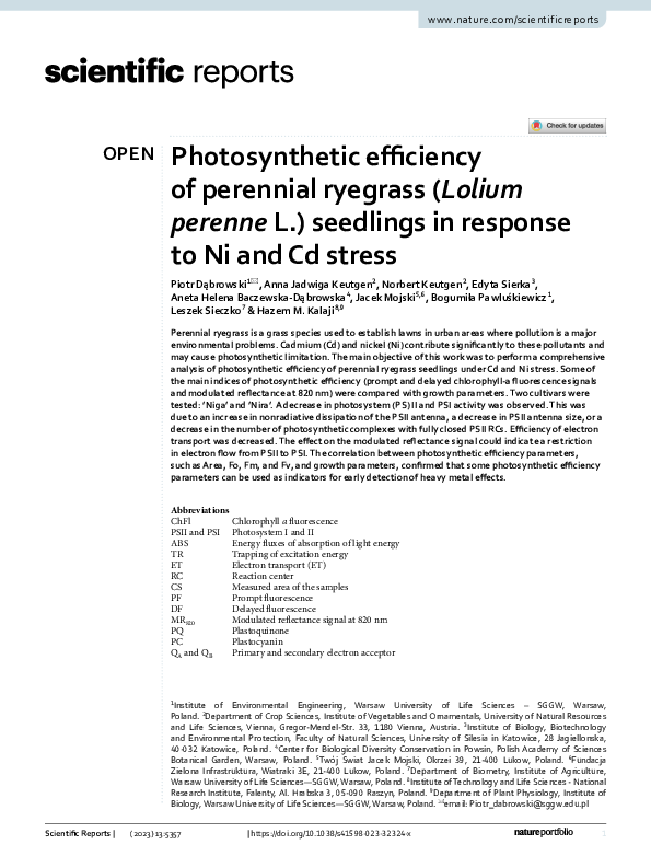 (PDF) Photosynthetic efficiency of perennial ryegrass (Lolium perenne L ...