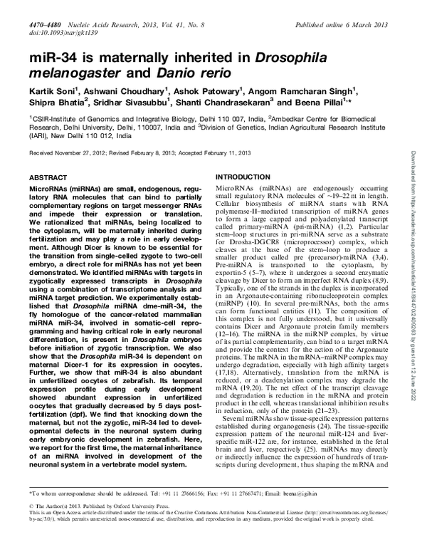 (PDF) miR-34 is maternally inherited in Drosophila melanogaster and ...