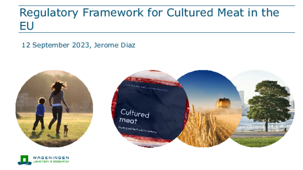 (PDF) Regulatory Framework for Cultured Meat in the EU