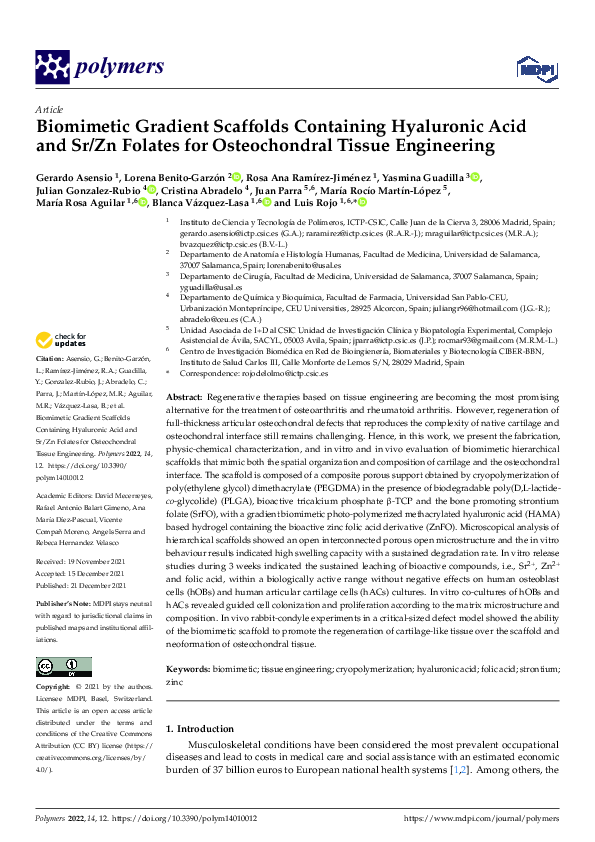 (PDF) Biomimetic Gradient Scaffolds Containing Hyaluronic Acid and Sr ...