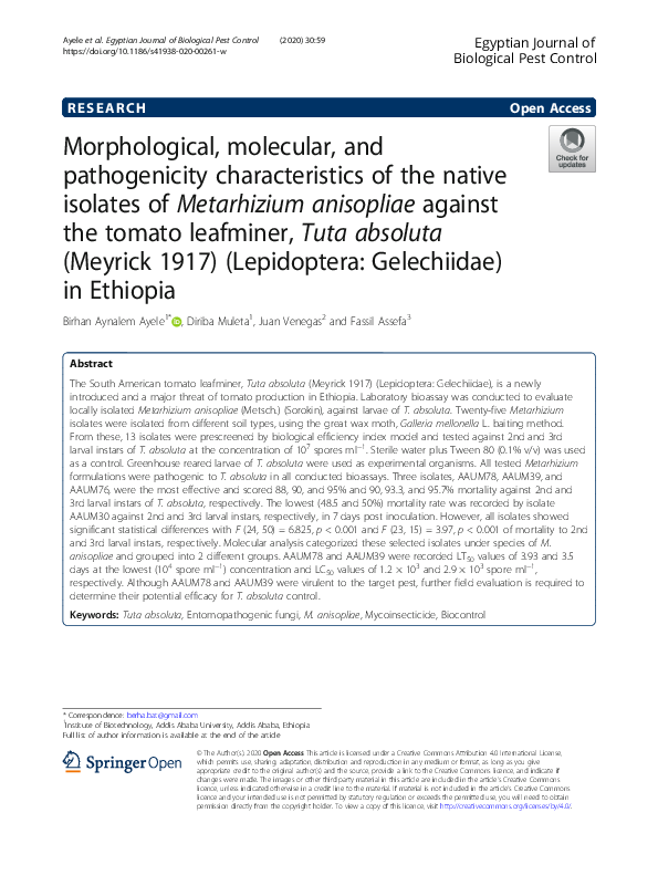 (PDF) Morphological, molecular, and pathogenicity characteristics of ...