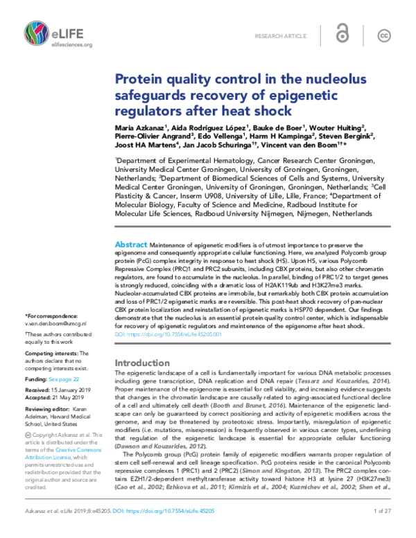 (PDF) Protein quality control in the nucleolus safeguards recovery of ...