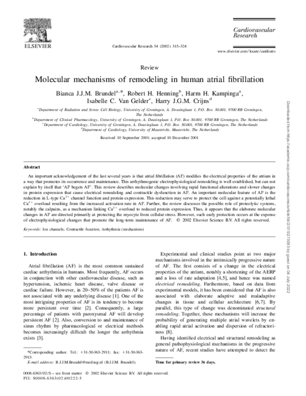 (PDF) Molecular mechanisms of remodeling in human atrial fibrillation