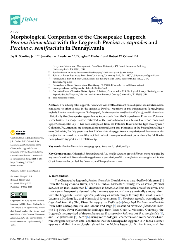 (PDF) Morphological Comparison of the Chesapeake Logperch Percina ...