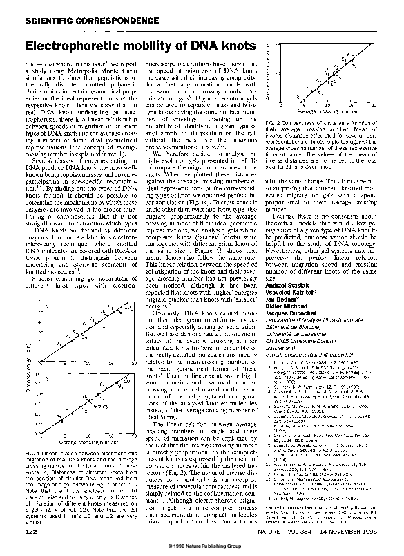 (PDF) Electrophoretic mobility of DNA knots
