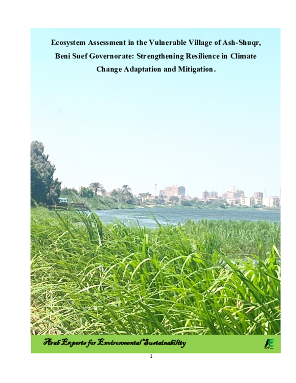 (PDF) Arab Experts for Environmental Sustainability