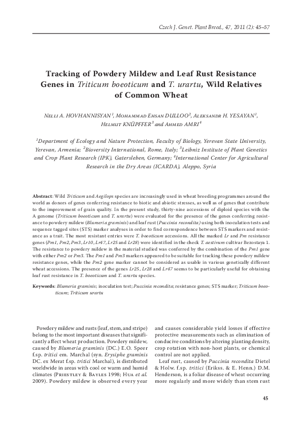 (PDF) Tracking of powdery mildew and leaf rust resistance genes in ...