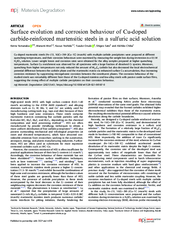 (PDF) Surface evolution and corrosion behaviour of Cu-doped carbide ...