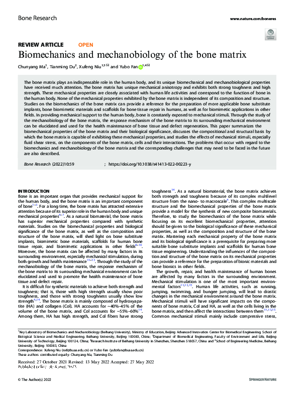 (PDF) Biomechanics and mechanobiology of the bone matrix