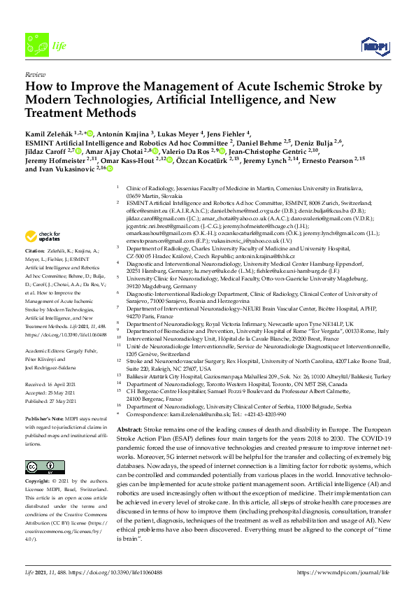 (PDF) How to Improve the Management of Acute Ischemic Stroke by Modern ...